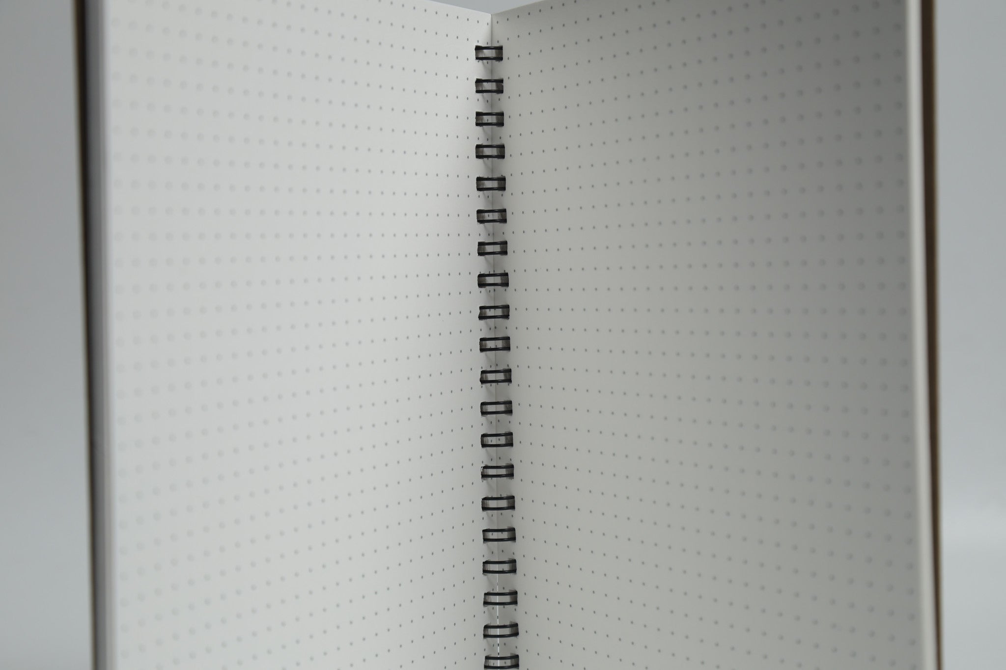 Uploaded: 1F1A2403.jpg