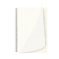 Transparent Square Grid Notebook 4
